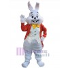 Easter Bunny Rabbit mascot costume