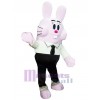 Easter Bunny Rabbit mascot costume