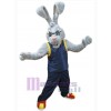 Easter Bunny Rabbit mascot costume