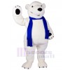 Bear mascot costume