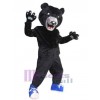 Bear mascot costume