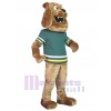 Dog mascot costume