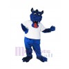 Dragon mascot costume