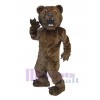 Bear mascot costume