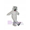 Bear mascot costume