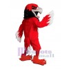 Hawk mascot costume