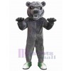 Bear mascot costume