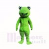 Green Frog Mascot Costumes Cartoon