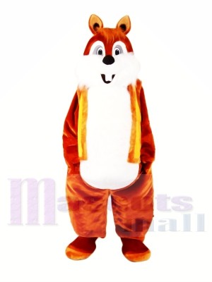 Super Cute Lightweight Chipmunk Mascot Costumes  
