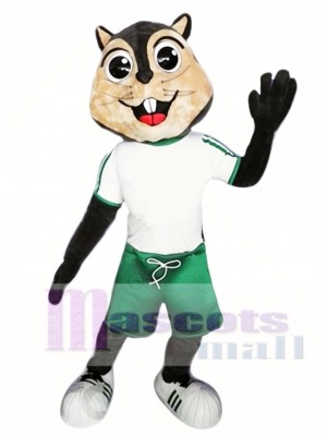 High Quality Squirrel Mascot Costume