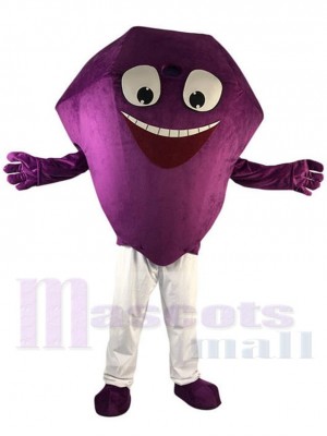 Purple Diamond Mascot Costume Cartoon