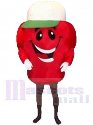 Happy Red Apple Mascot Costume Cartoon