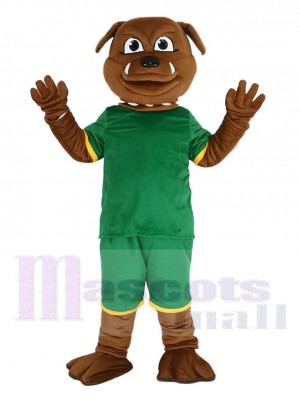 Brown Bulldog in Green Sweatshirt Mascot Costume