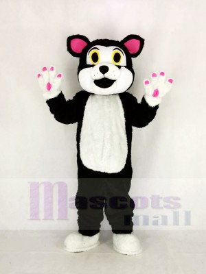 Cute Cat with Green Eyes Mascot Costume Cartoon	