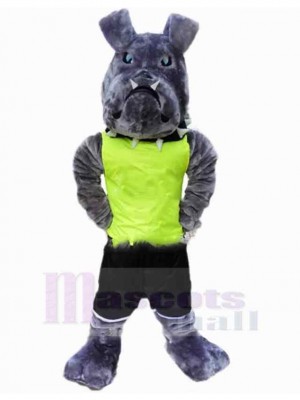 Grey American Bulldog Mascot Costume Animal in Green Vest