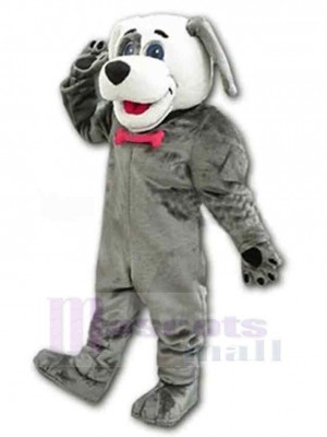 Friendly Grey Dog Mascot Costume Animal Adult