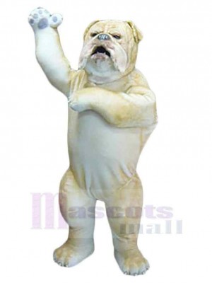 Wild Bulldog Mascot Costume Animal Adult