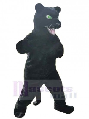 Green Eyes Panther Adult Mascot Costume Animal