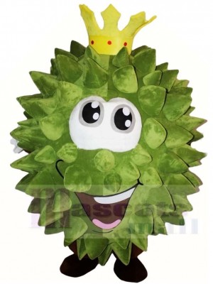 Musang King Durian Mascot Costumes Fruit 