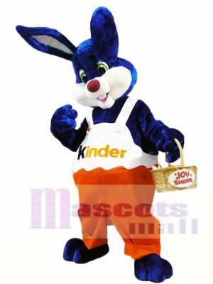 Rabbit Bunny Kinder Mascot Costumes Animal