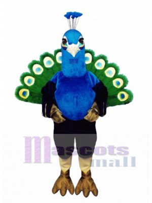 Cute Peacock Mascot Costume
