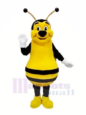 Smiling Bee Mascot Costumes Adult