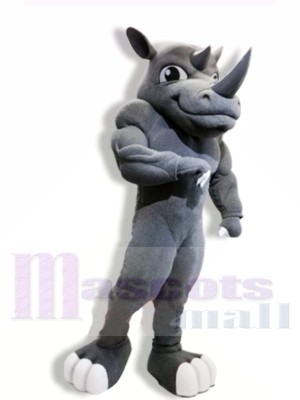 Power Rhino Mascot Costumes