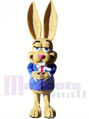 Cute Jackrabbit Mascot Costumes