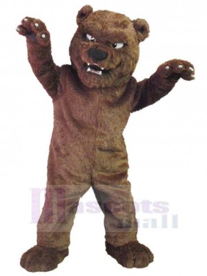 Funny Bear Adult Mascot Costume Animal