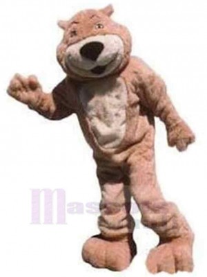 Plush Adult Bear Mascot Costume Animal