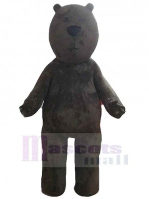 Frowning Brown Bear Mascot Costume Animal