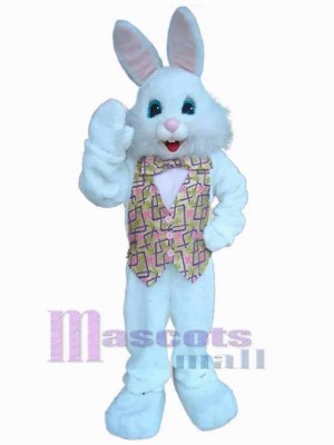 Nice Bunny Mascot Costume Animal