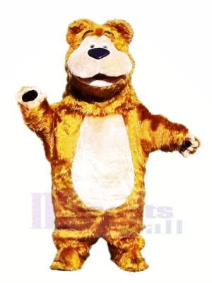 Furry Bear Mascot Costumes Cartoon