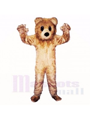 Friendly Furry Bear Mascot Costumes Cartoon