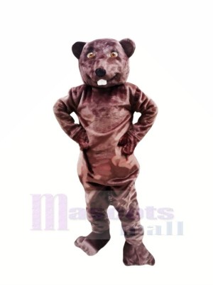 Happy Beaver Mascot Costumes Adult 