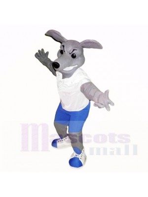 Greyhound Dog With White Shirt Mascot Costumes School 