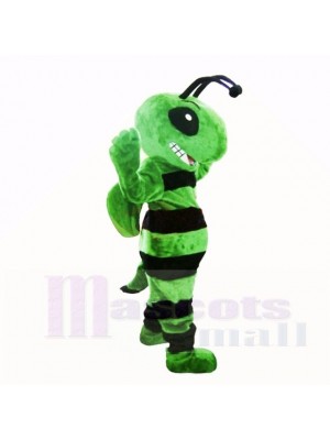 Friendly Green Bee Mascot Costumes Adult